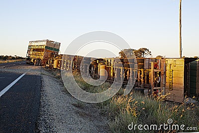 Road train cattle semi trailer accident on highway. Editorial Stock Photo