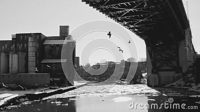 The icy winter and birds flying over the Cuyahoga River- CLEVELAND - OHIO - USA Editorial Stock Photo