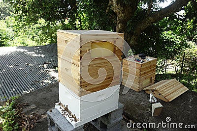 A newly-constructed modern flow hive being assembled at an apiary in the Caribbean Stock Photo