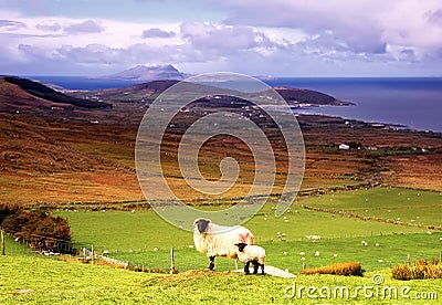 Clew Bay Co. Mayo Stock Photo