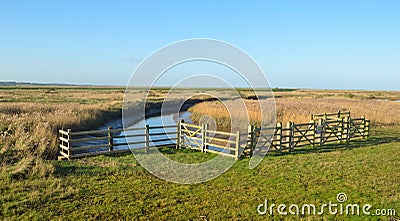 Cley marshes nature reserve north Norfolk. Stock Photo