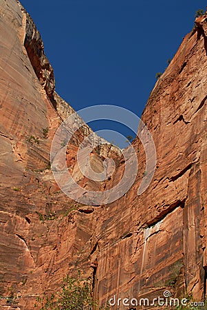 Cliff Face Zion National Park Stock Photo