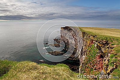 Cliff in Iceland - latrabjarg Stock Photo