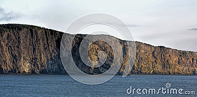 Cliff wall near Flatrock and Torbay, Newfoundland, Canada Stock Photo