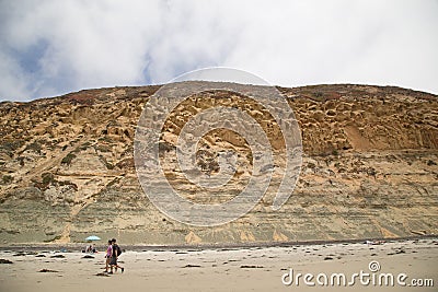 Cliffs and beach at Torrey Pine State Park in California Editorial Stock Photo