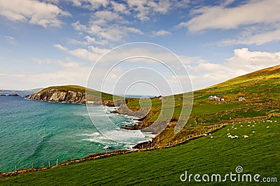 Cliffs on Dingle Peninsula, Ireland Stock Photo