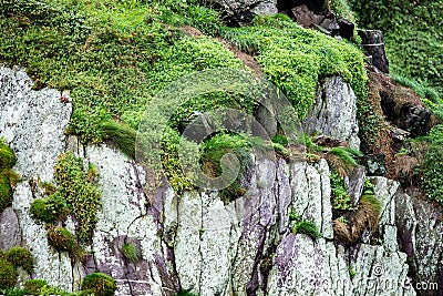 Cliffs and Harbor in Dingle, County Kerry, Ireland Stock Photo