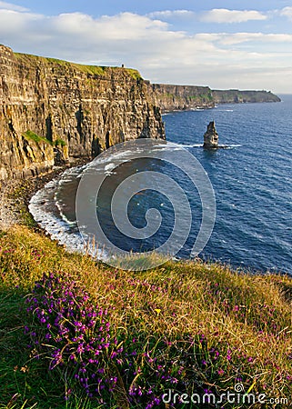 Cliffs of Moher Stock Photo