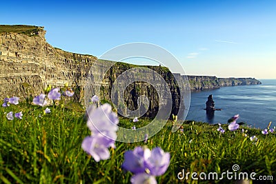 Cliffs Of Moher Stock Photo