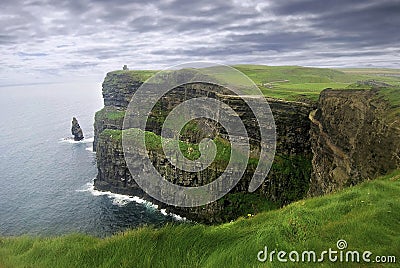 Lush grass in Ireland Stock Photo