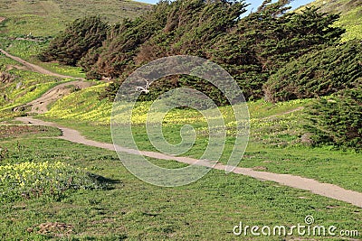 Cliffs and Ocean Mussell rock park in Pacifica California Stock Photo
