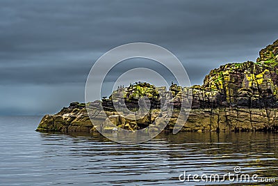 Cliffs In Shape Of A Head Of A Sleeping Dragon With Cormorants and A Seal At The Coast Of Scotland Stock Photo