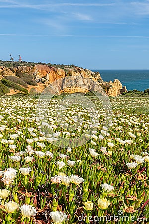 Cliffs view on Lagos, Algarve Stock Photo