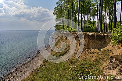 Clifftop with forest above the beach Stock Photo