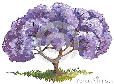 CLilac Tree. Flowering Branches. Blooming Branches. Lush Bloom. Magnolia Blossom. Stock Photo