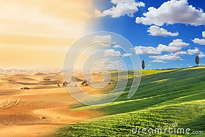 Climate change with desertification process. Stock Photo