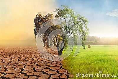 Climate change drought and green aboundance fields compare Stock Photo