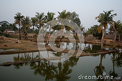 Climate Change in Sundarban, India Editorial Stock Photo