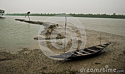 Climate Change in Sundarban, India Editorial Stock Photo