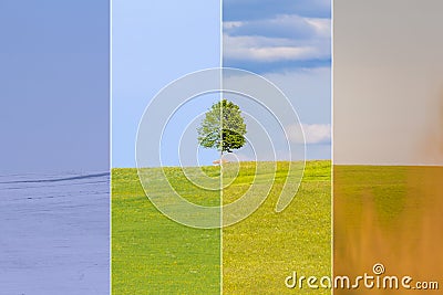 Climate change winter spring summer fall over the year blocks Stock Photo