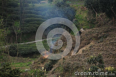 Climate changes content Editorial Stock Photo