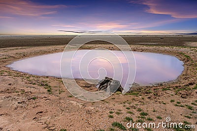 Climate drought, Pond on terrain cracked soil in hot weather Stock Photo