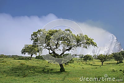 Climatic changes Stock Photo