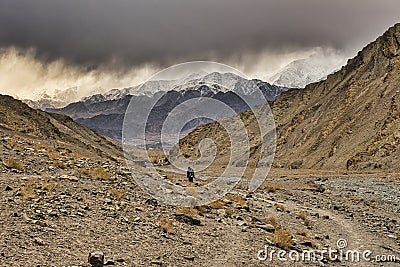 Climber walks on the mountain path that leads him to top of Stok Kangri base camp Editorial Stock Photo
