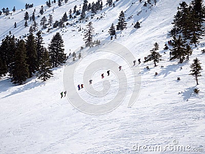 Climbers in the mountain with snow Editorial Stock Photo