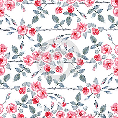 Climbing Rose `Etoile de Hollande`. Watercolor seamless pattern. Hand-drawn artistic illustration. Cartoon Illustration