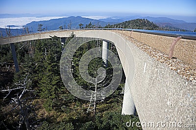 Clingmans Dome - Great Smoky Mountains Stock Photo