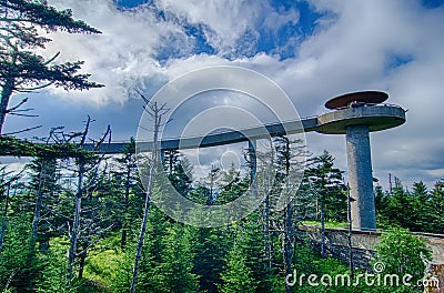 Clingmans Dome - Great Smoky Mountains National Park Stock Photo