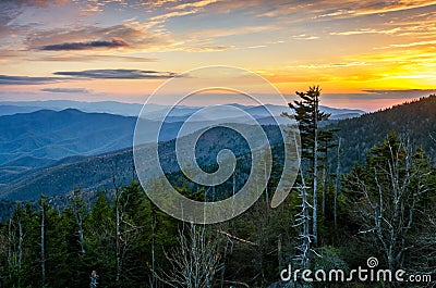 Clingmans Dome, Great Smoky Mountains, tennessee Stock Photo