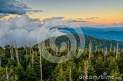 Clingmans Dome, Great Smoky Mountains, tennessee Stock Photo