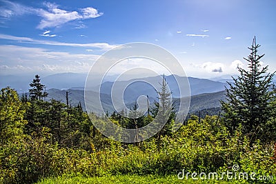 Clingmans Dome Summit Stock Photo