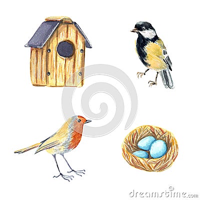 Clip art set with bird house, nest with eggs, titmouse and robin Cartoon Illustration