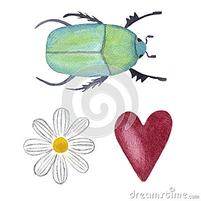 Clipart bug and daisy and heart, hand painted watercolor illustration. Cartoon Illustration