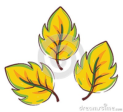 Clipart of yellow autumn leaves vector or color illustration Vector Illustration