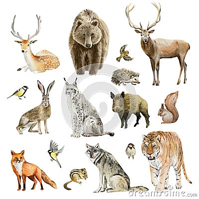 Clipboard set of watercolor hand drawn animal cliparts Stock Photo