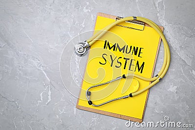 Clipboard with words Immune System and stethoscope on light grey table, flat lay. Space for text Stock Photo