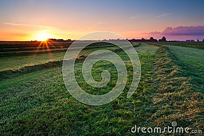 Clipped hay on grassland at sunrise Stock Photo