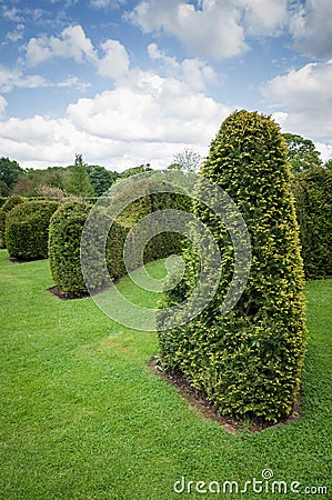 Clipped Hedge-Topiary-Trimmed hedge Stock Photo