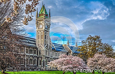 University of Otago Stock Photo