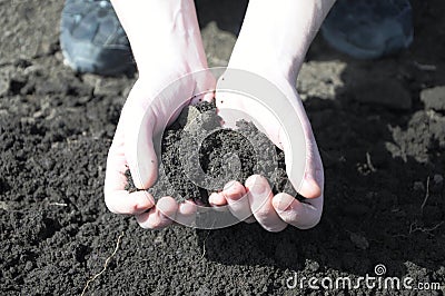 Clod of earth in the hands of the farmer Stock Photo