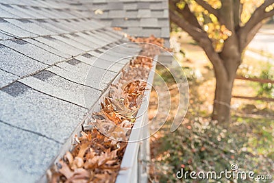 Clogged gutter at front yard near roof shingles of residential house full of dried leaves Stock Photo