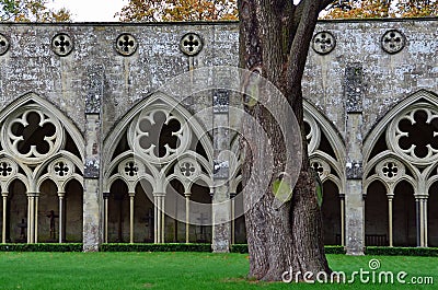 Cloisters, Salisbury Cathedral, Salisbury, Wiltshire, England Stock Photo