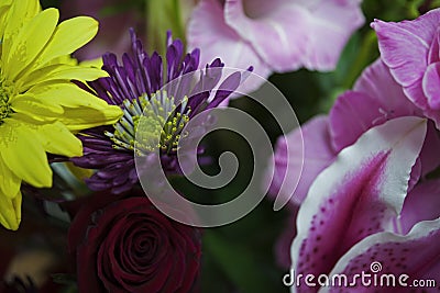 Close Abstract Yellow Green purple Yellow Floral Flowers Stock Photo