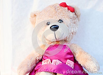 Close up cute teddy bear Is a morale that girls like very much. White background Stock Photo