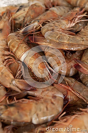 Close fresh raw shrimps Stock Photo
