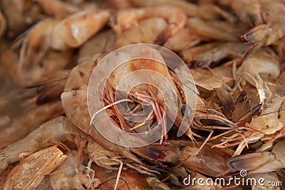 Close fresh raw shrimps Stock Photo